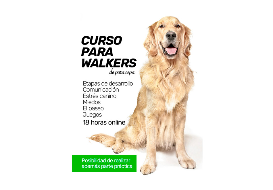 CURSO-PARA-WALKERS-h2