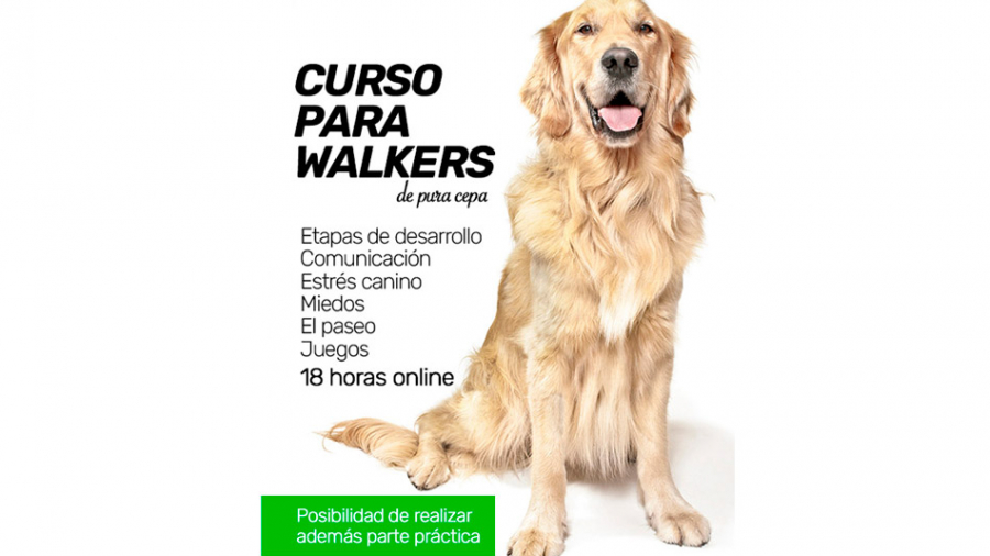 CURSO-PARA-WALKERS-h2