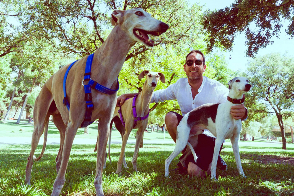 Blog 19 convivir con perros