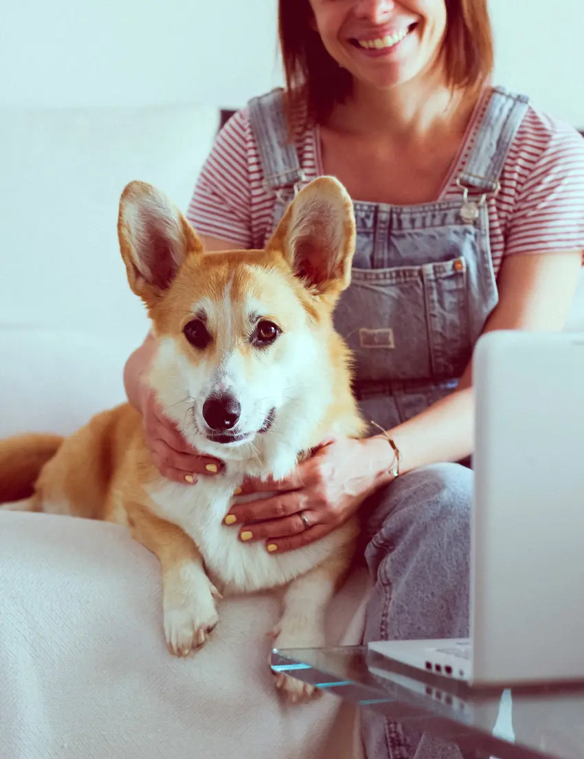 Asesoramiento canino online 1