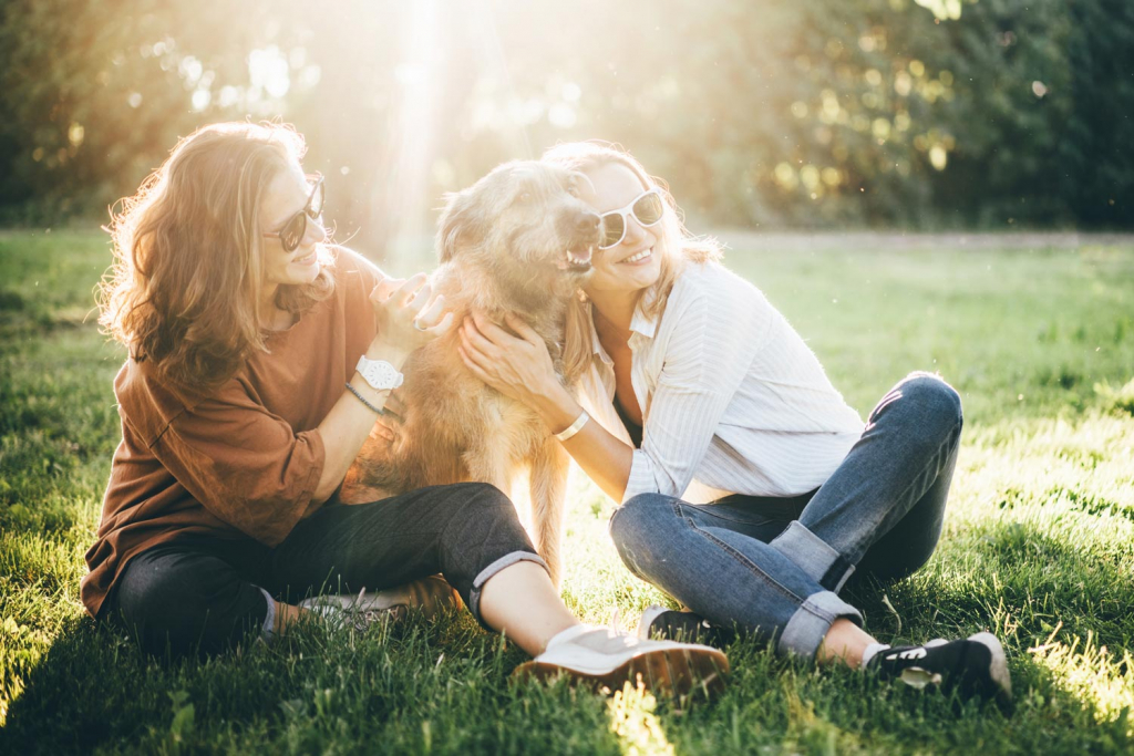 Blog 21 adiestramiento canino educación canina