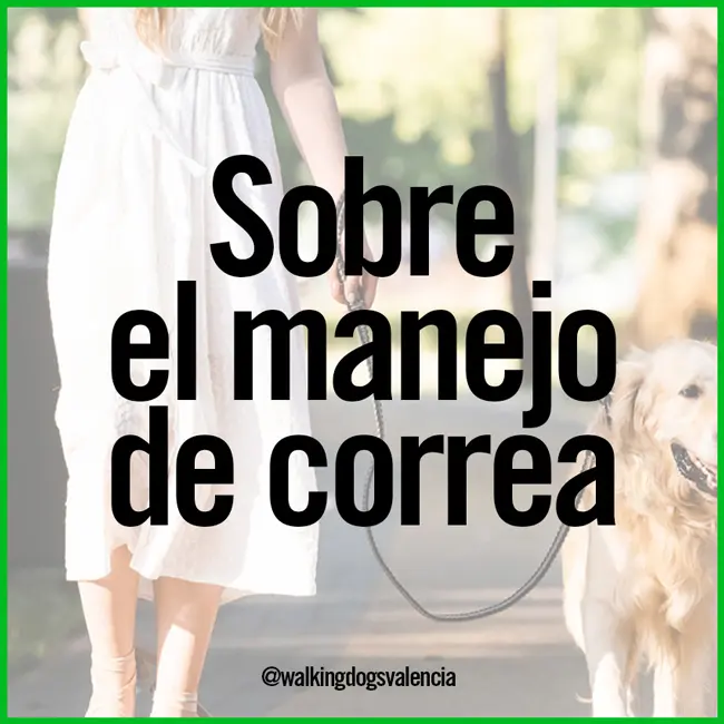 correa