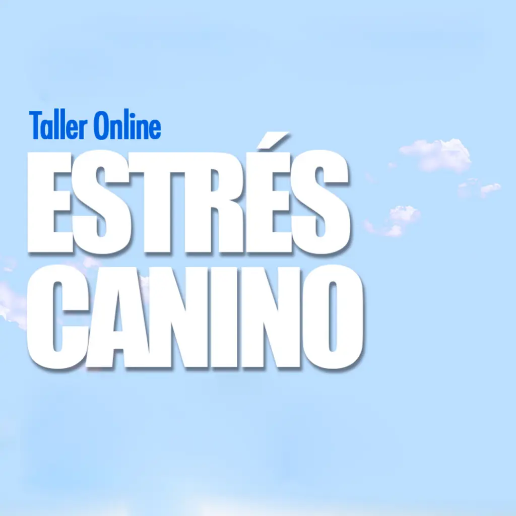 taller-estres-2022-3