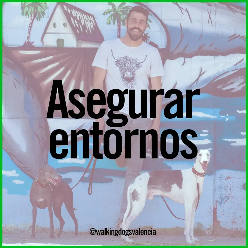 asegurar entorno
