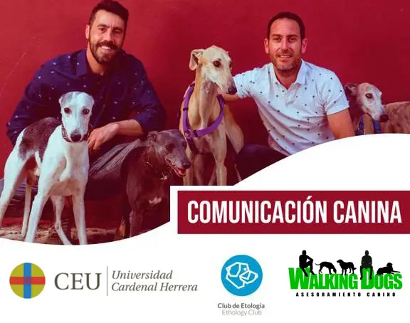 img-taller-ceu