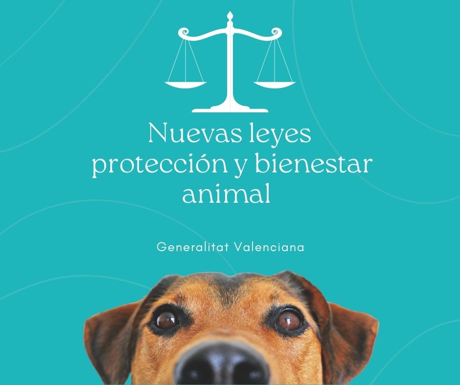 nuevas-leyes-protección-animal-GV