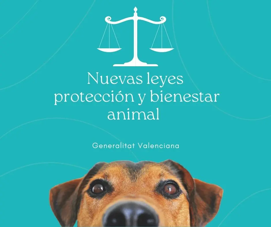 reformas de la ley de protección y bienestar animal