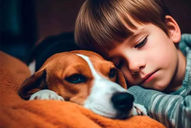 perros y niños