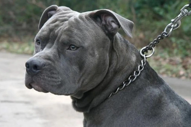 Blog 13 herramientas