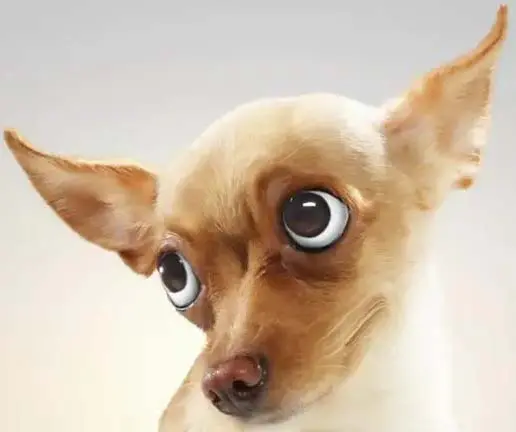 perro dominante