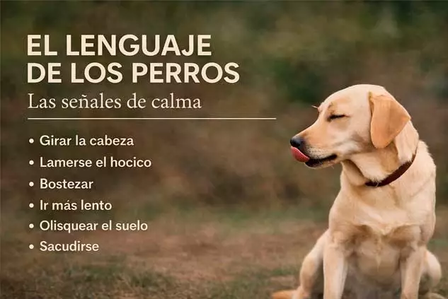 señales de calma