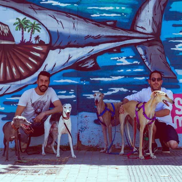 Educación canina en Valencia 7 asesoramiento