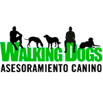 Walking Dogs Educadores Caninos Valencia