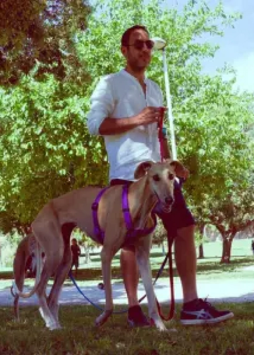 adiestrador-canino-valencia_DSC5850v2-300x300