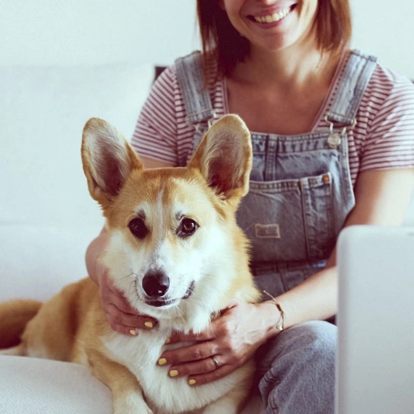 asesoramiento-online_BAJA