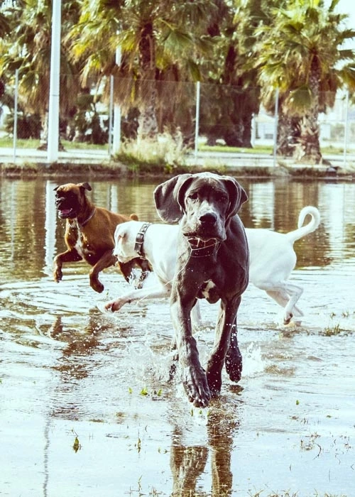 grupos-de-socializacion2_BAJA