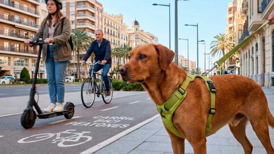 reactividad a patinetes y bicis