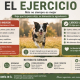 ejercicio