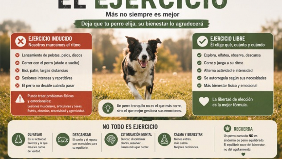 ejercicio