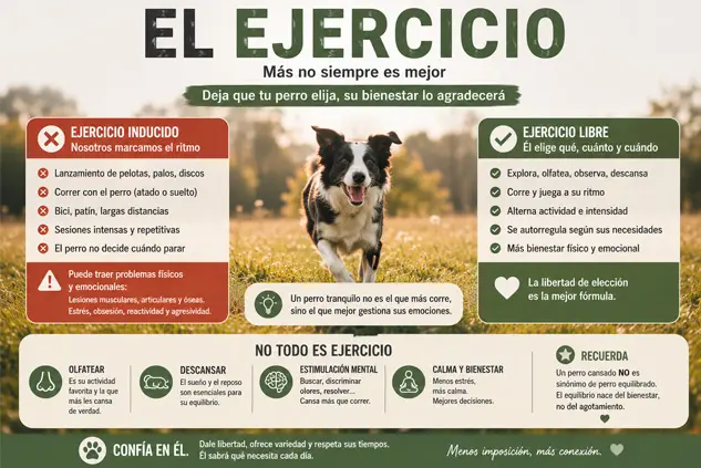 ejercicio