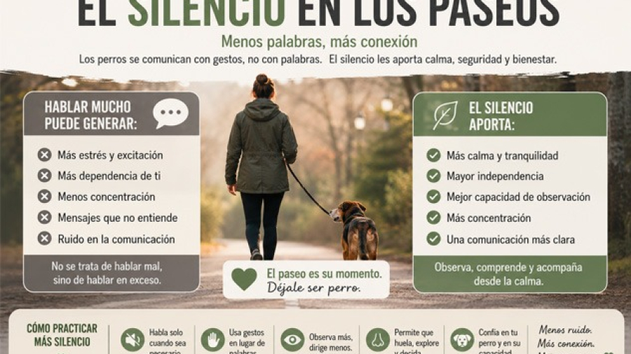 silencio